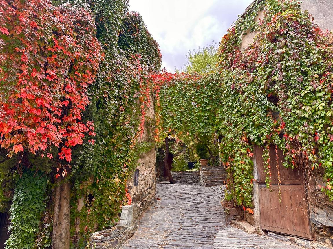 Calle empedrada de Patones de Arriba con hiedra roja sobre casas de pizarra