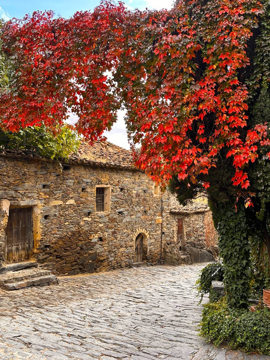 Casa de pizarra con hiedra roja en Patones de Arriba