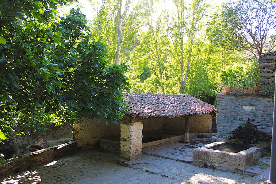 Antigua fuente de piedra entre árboles